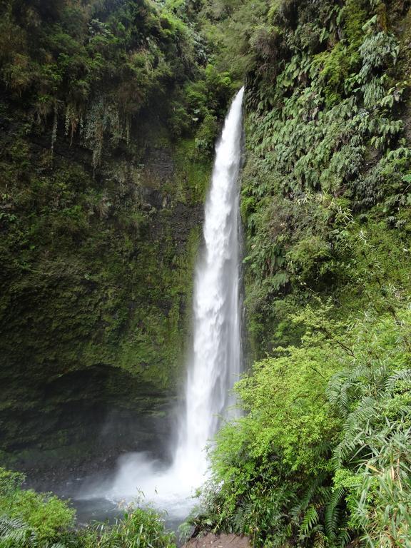 Apart & Tour Puerto Varas Zewnętrze zdjęcie